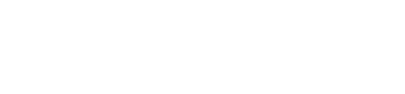 SmartLEX